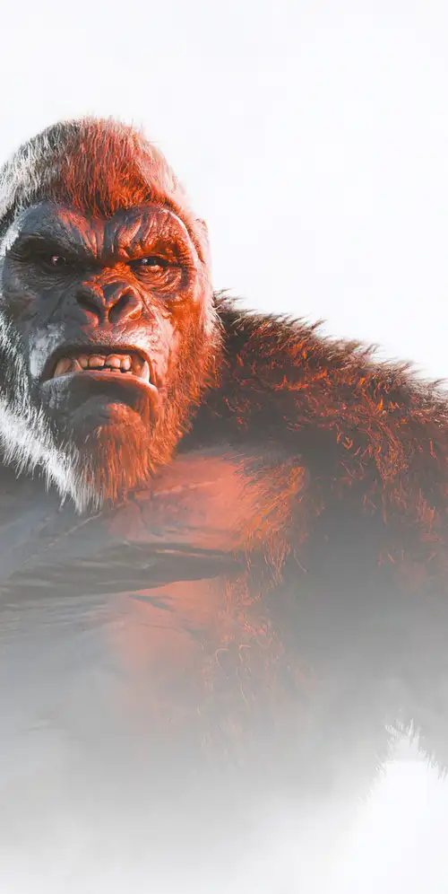 香港：幸存者本能2024年奥运会