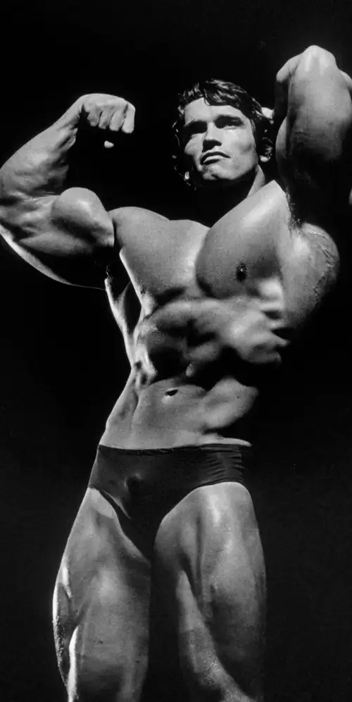 阿诺德·施瓦辛格健美运动员