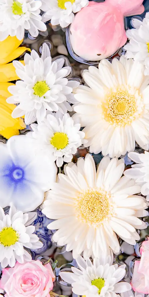 五颜六色的花束