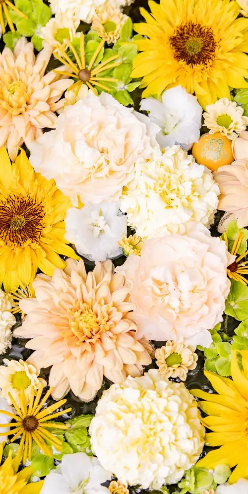 花束黄色美学