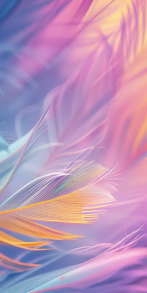 五颜六色的羽毛