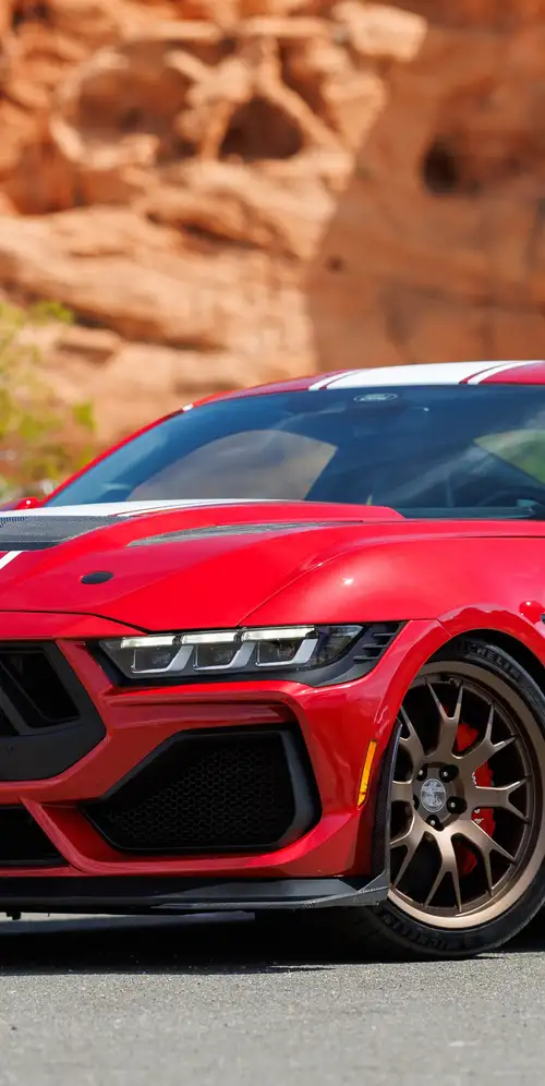 谢尔比超级蛇2024