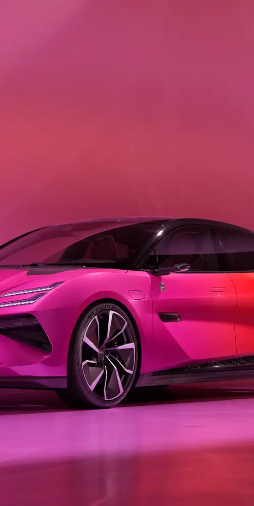 莲花峨眉花系列2024