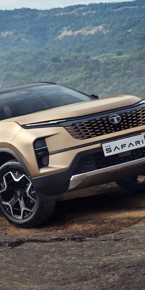 塔塔野生动物园