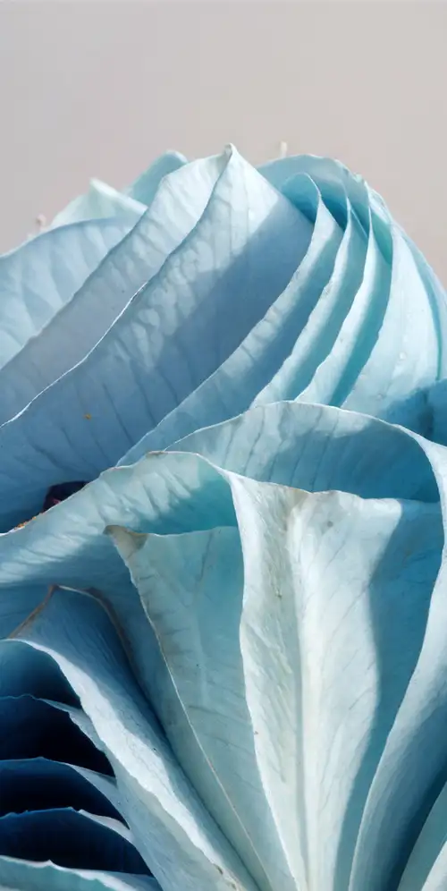 Windows 11人工智能艺术