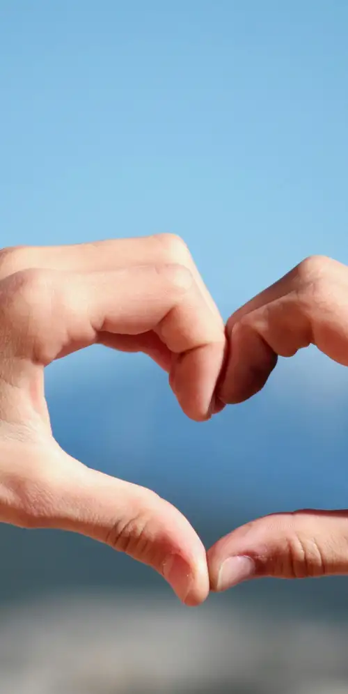 双手合十心形