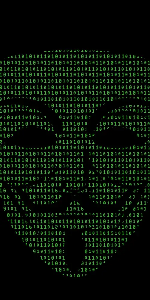 匿名黑客二进制文件