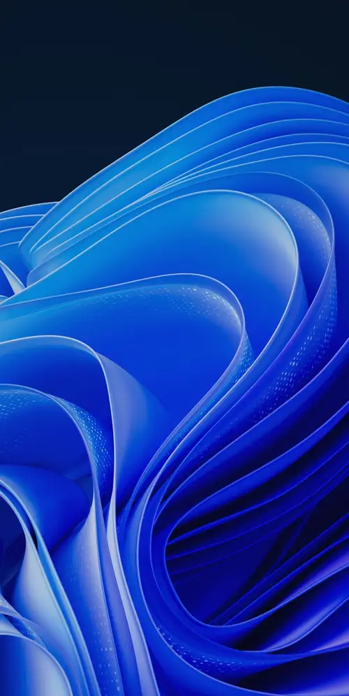 Windows 11 Bloom Dark主题