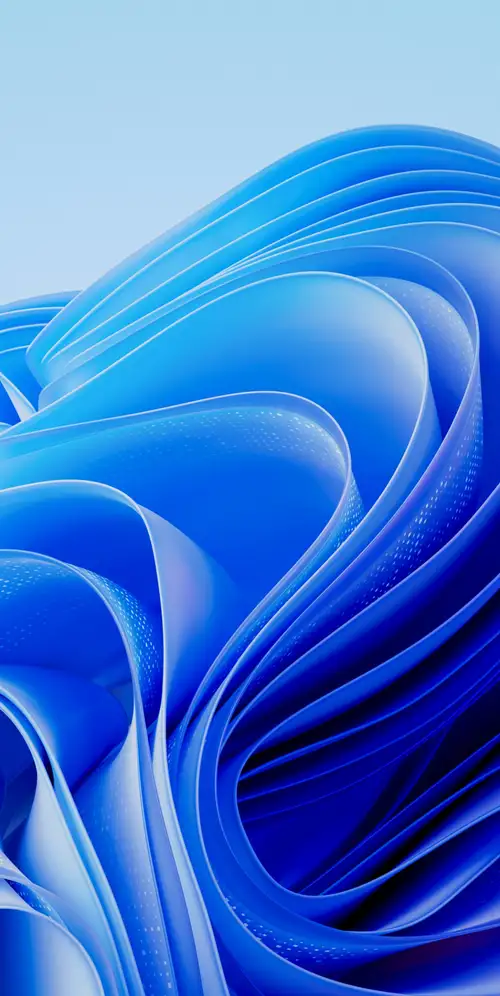 Windows 11 Bloom默认值