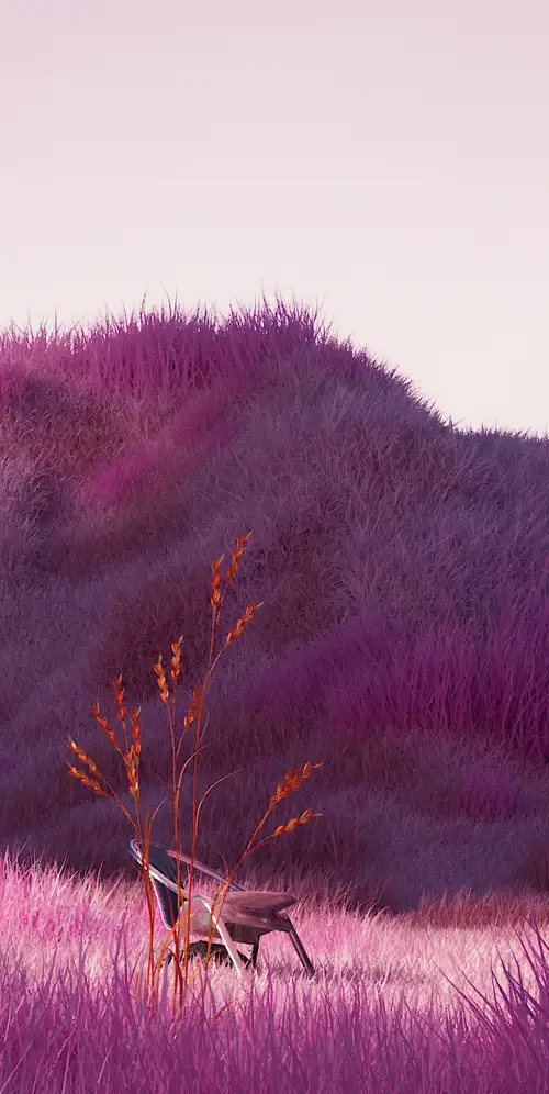 薰衣草田紫色美学