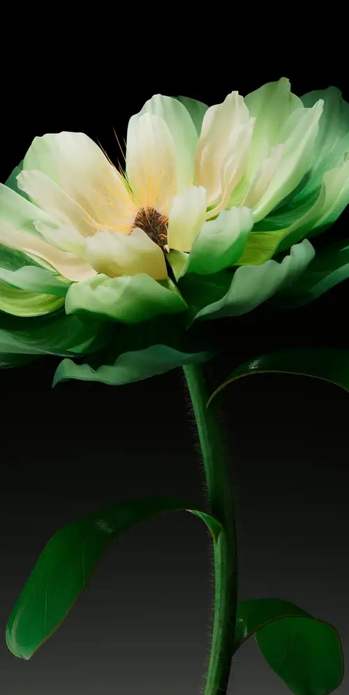 绿色花朵深色背景