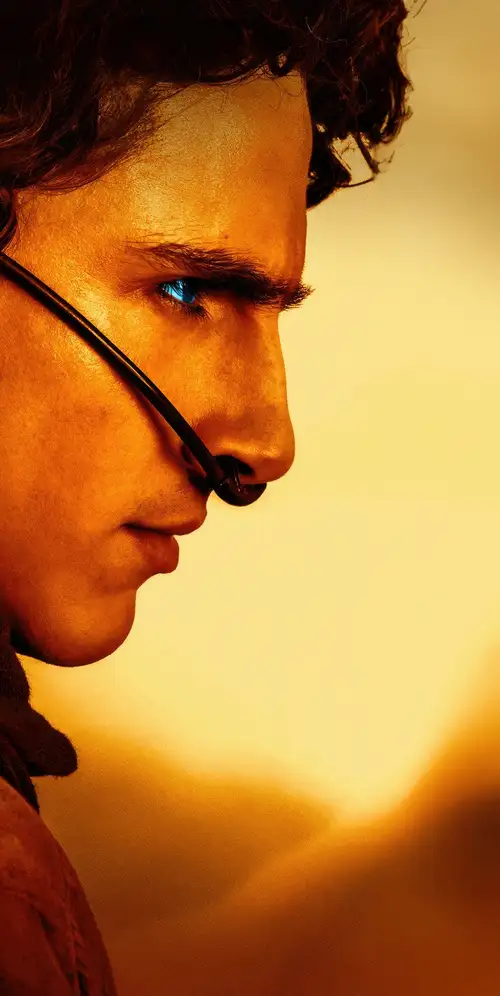 蒂莫西·查拉米特饰Paul Atreides Dune 2