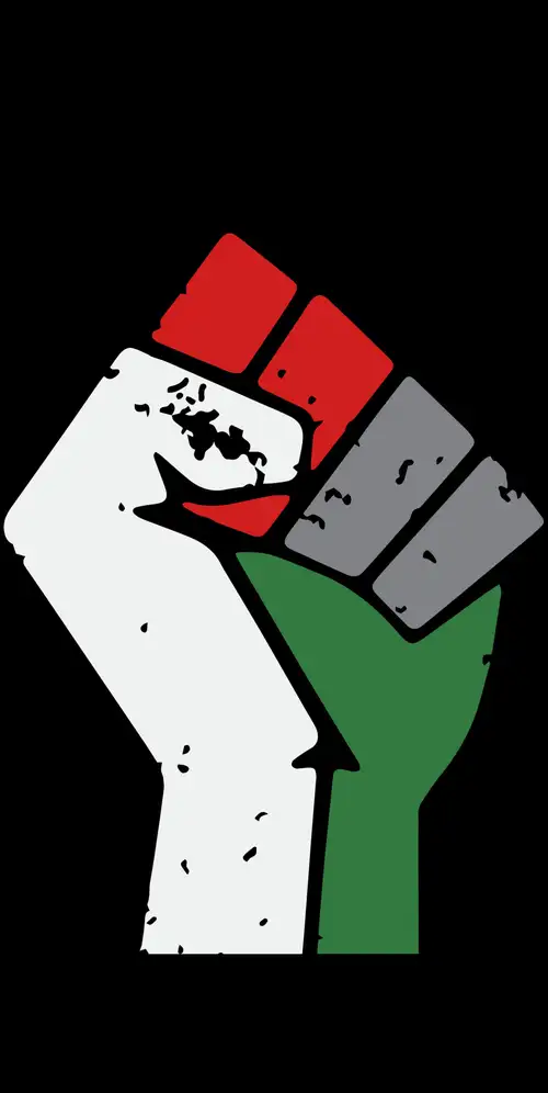 自由巴勒斯坦拳