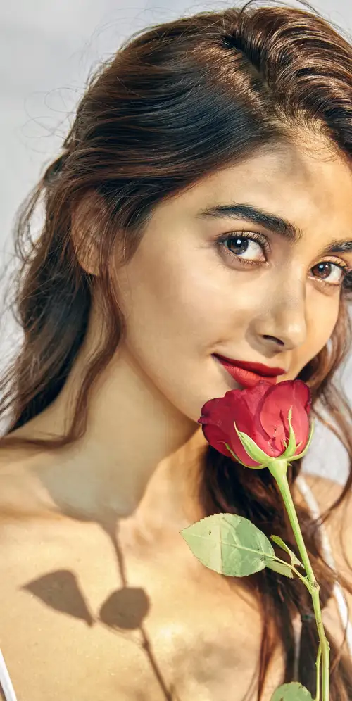 Pooja Hegde玫瑰花