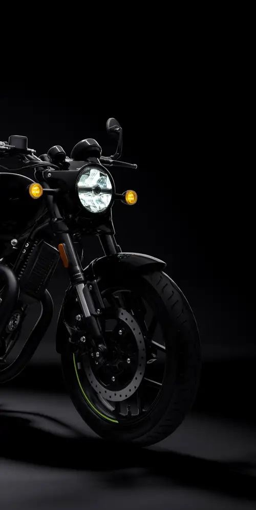 皇家恩菲尔德霰弹枪650 2024