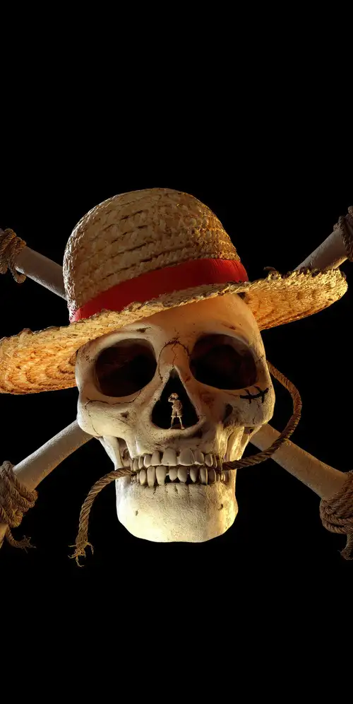 网飞's One Piece标志