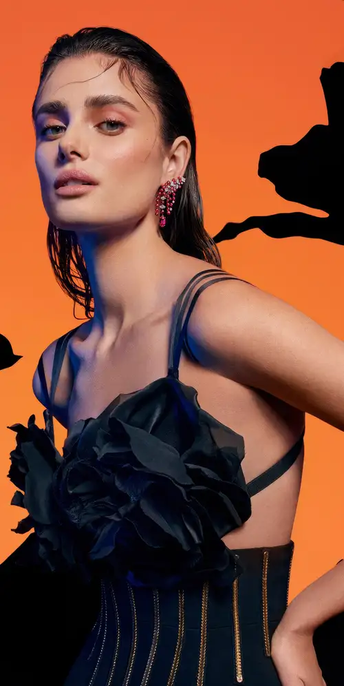 泰勒·希尔摄影