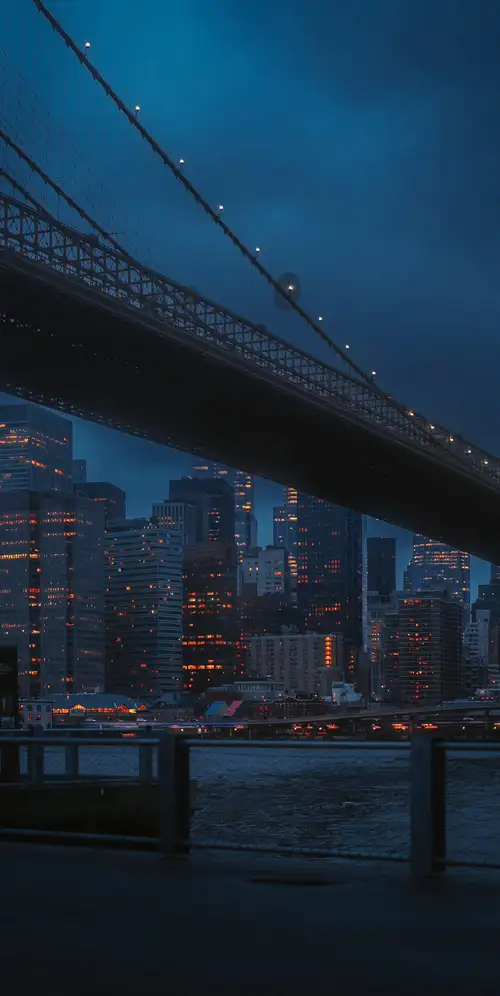 纽约布鲁克林大桥夜景