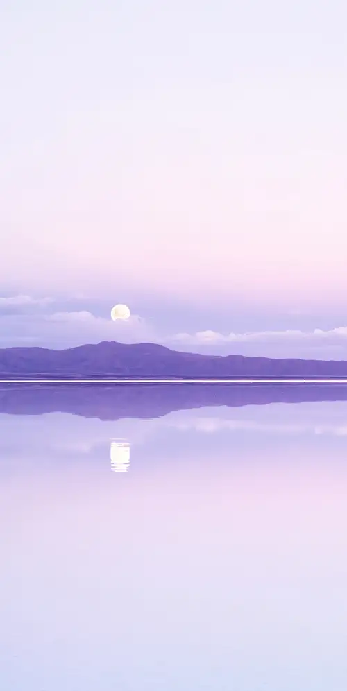 满月紫色美学