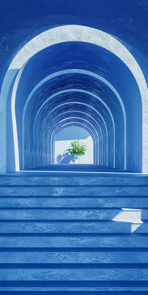 美观的室内植物