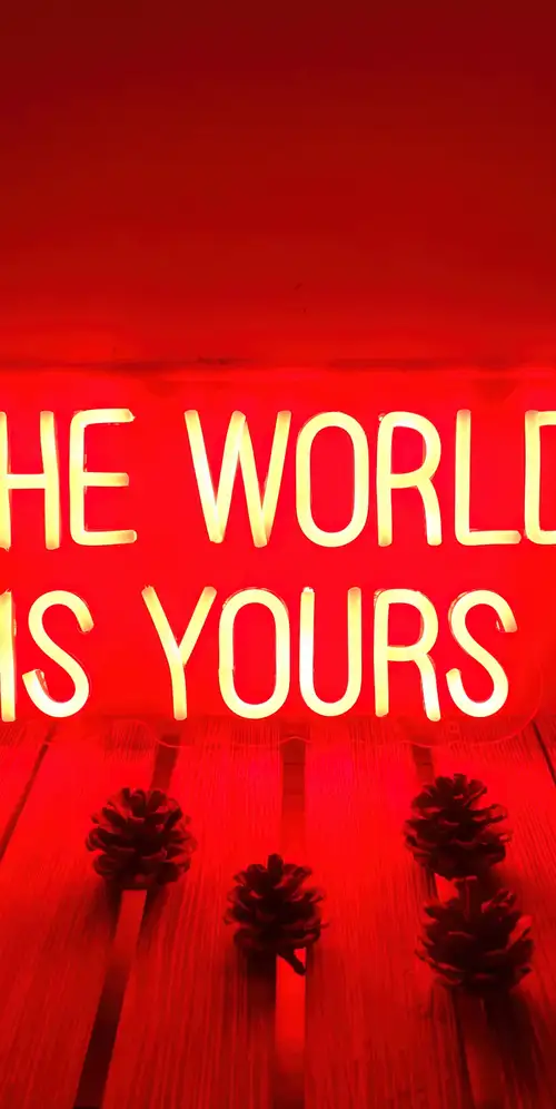 世界是你的霓虹灯星座