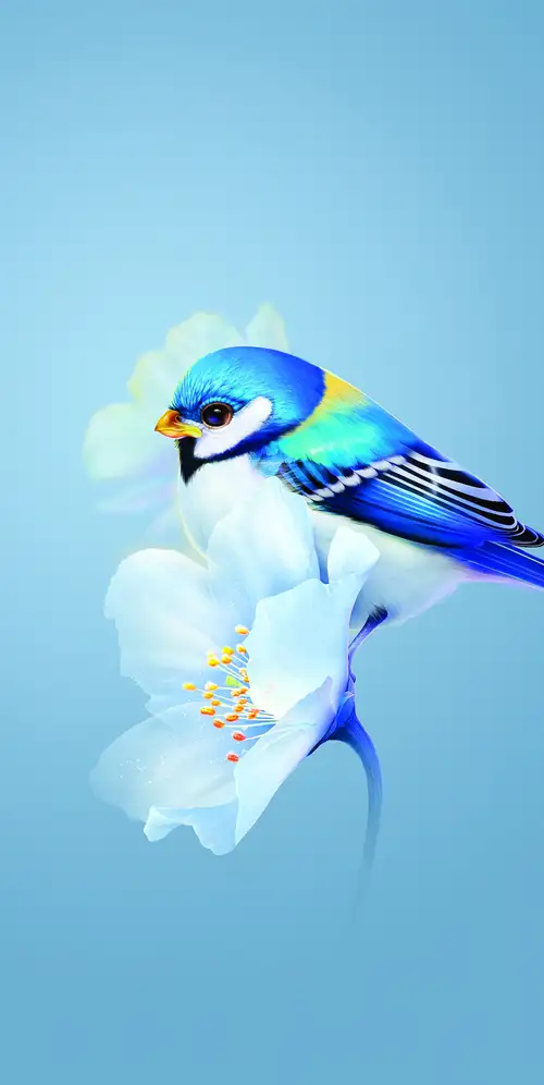 可爱的鸟蓝色的花