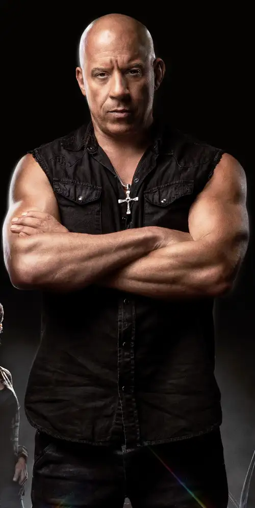 快速X Vin柴油机