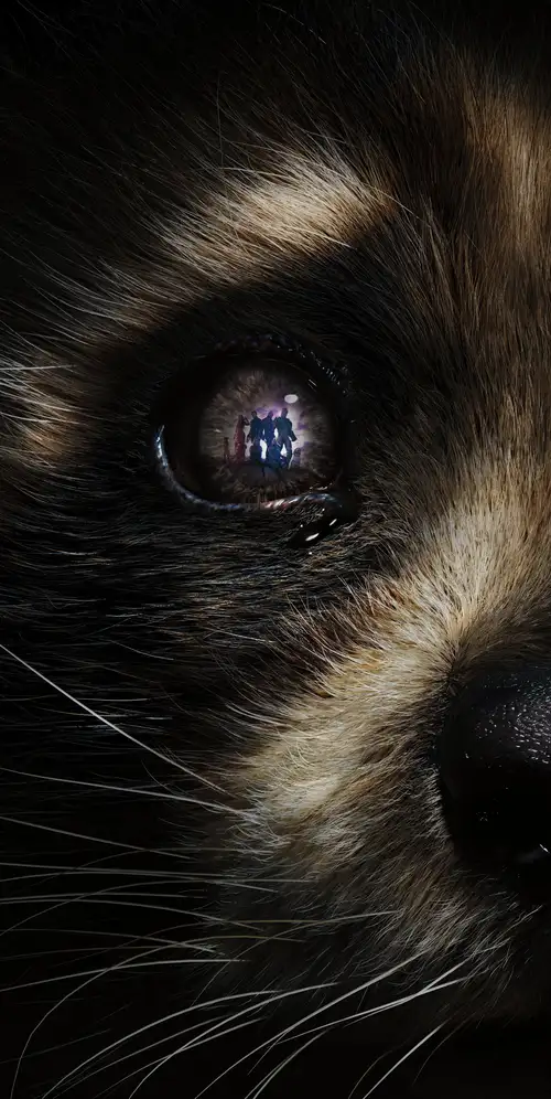 火箭浣熊银河护卫队3