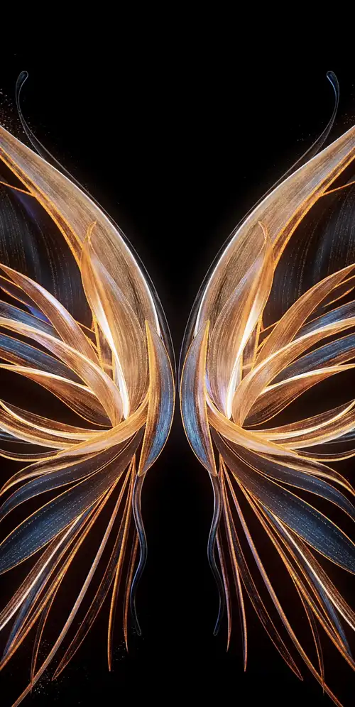 天使翅膀黑色背景