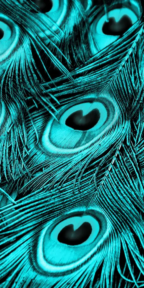 孔雀羽毛绿松石背景