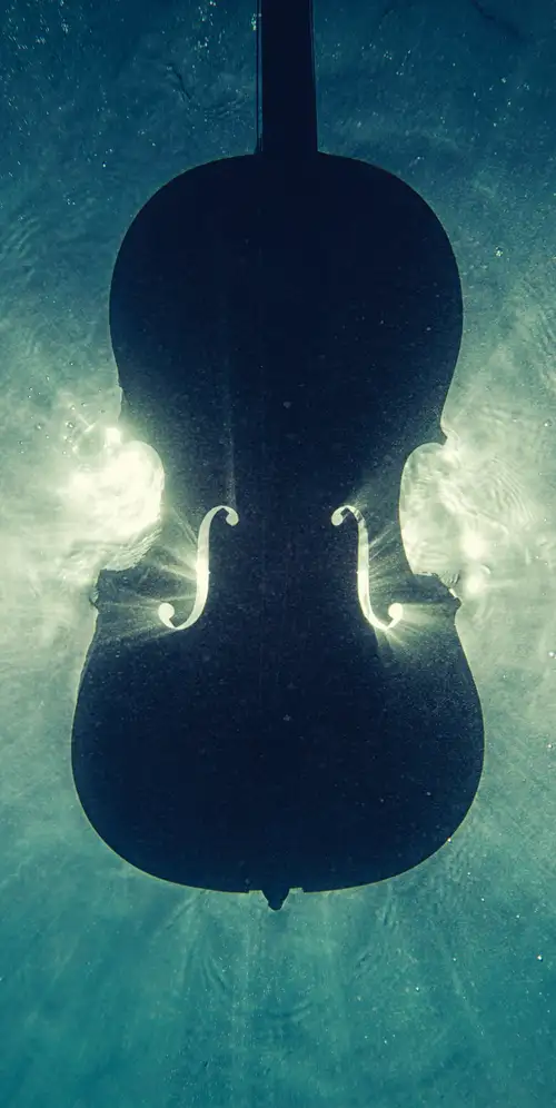小提琴水下
