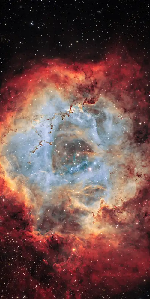 玫瑰星云银河系