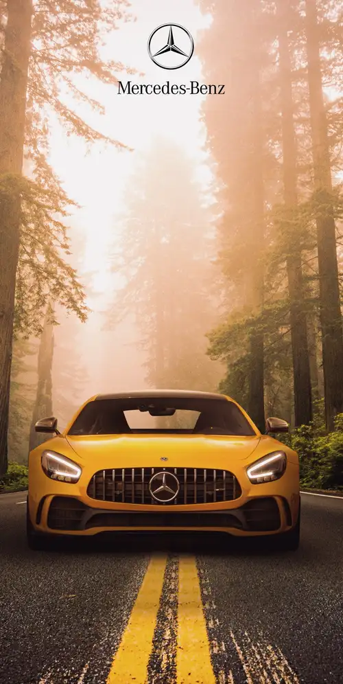 梅赛德斯-奔驰AMG GT R运动跑车