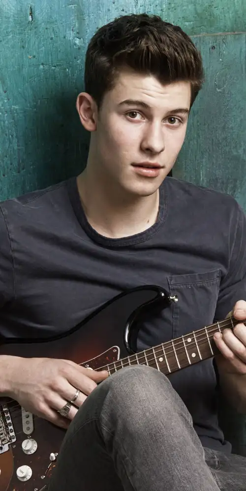 肖恩·门德斯加拿大歌手