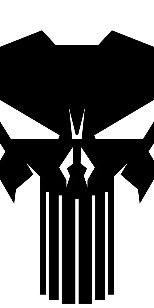 惩罚者标志白色背景