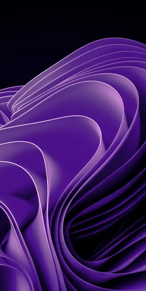 Windows 11 紫色摘要