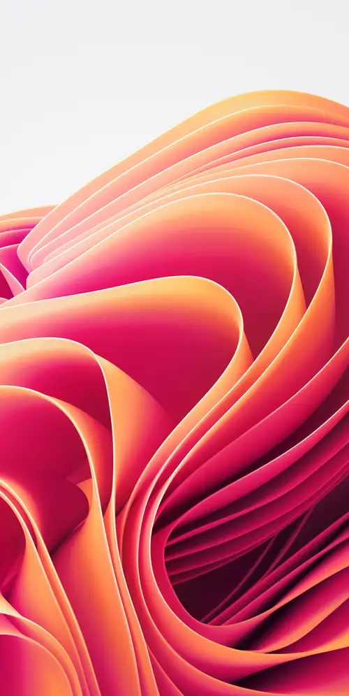 Windows 11橙色摘要