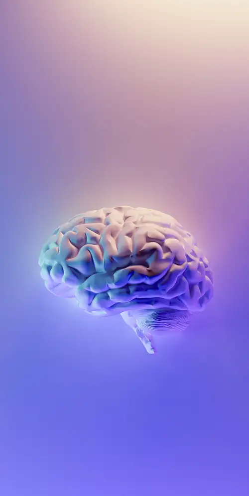 大脑3D背景
