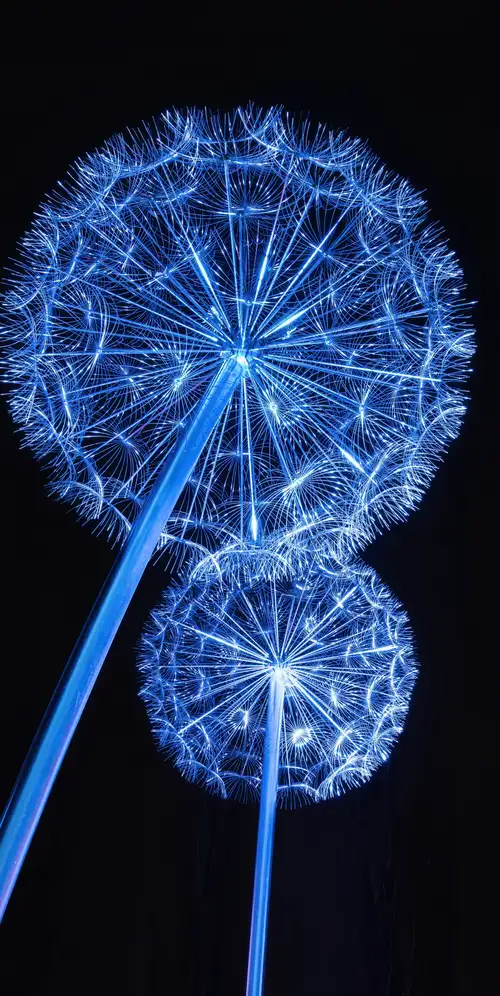 蒲公英灯蒲公英花