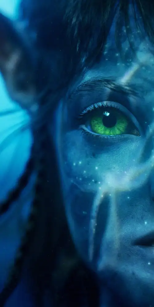 阿凡达：水之道