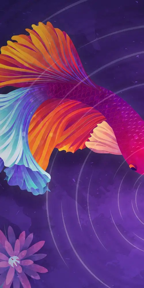 五颜六色的鱼波纹