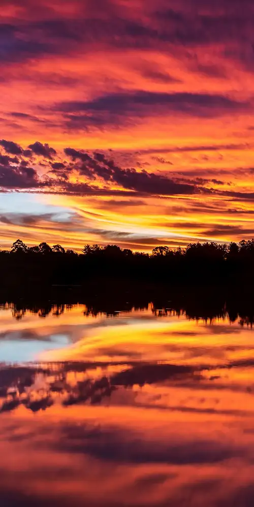 夕阳洒在绿树成荫的湖面上