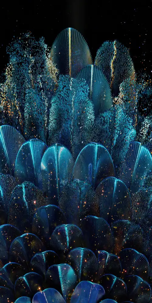 数字花朵Oppo Find N