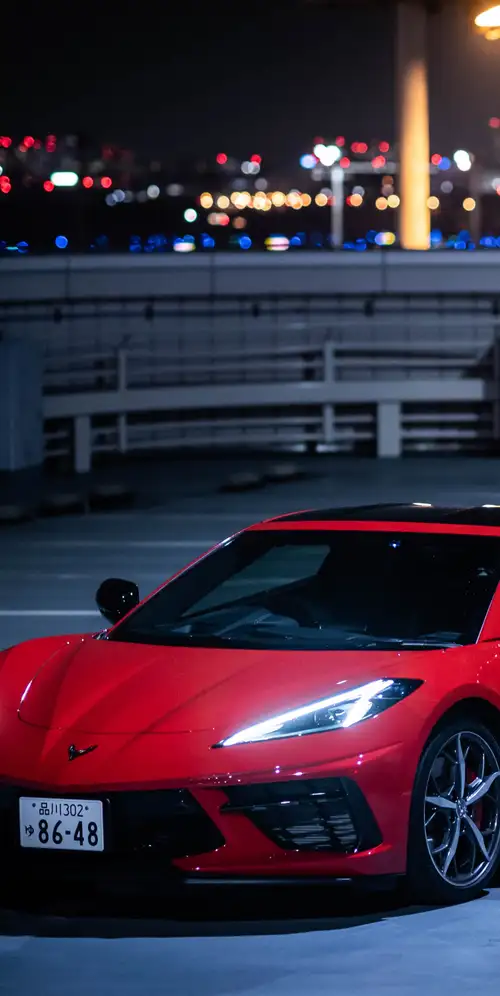 克尔维特黄貂鱼