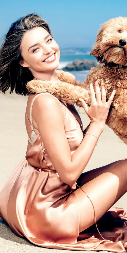 Miranda Kerr宠物狗