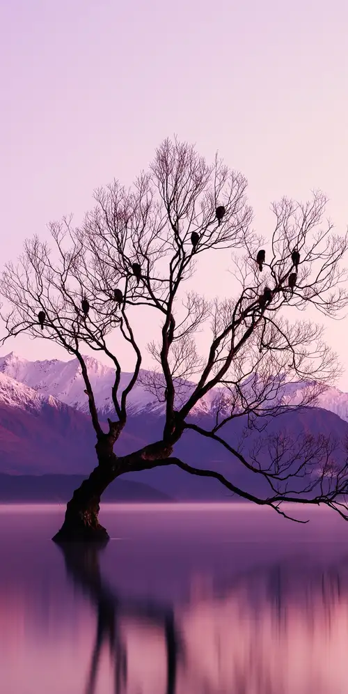 枯萎树冰川山脉