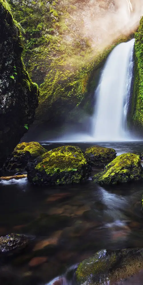 瀑布绿苔