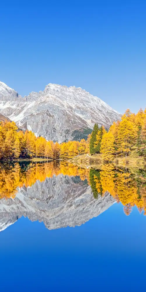 Lai da Palpuogna秋树