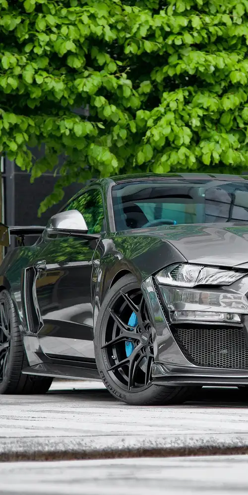 Clive Sutton野马CS850GT 2021