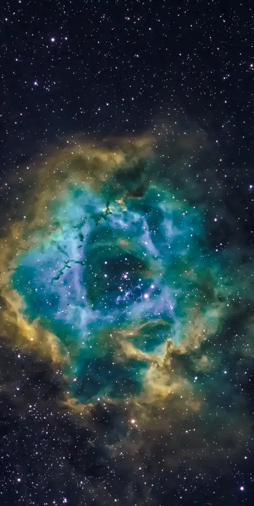 玫瑰星云天文学